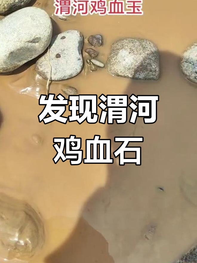 渭河鸡血石现身,快捡起来看看!