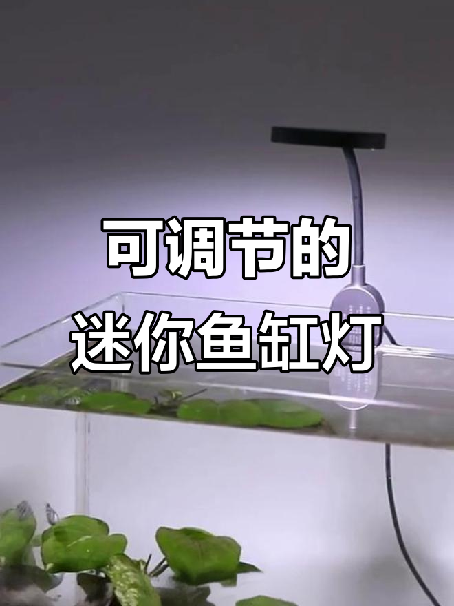 森森迷你鱼缸灯,360度可调设计让水族更生动