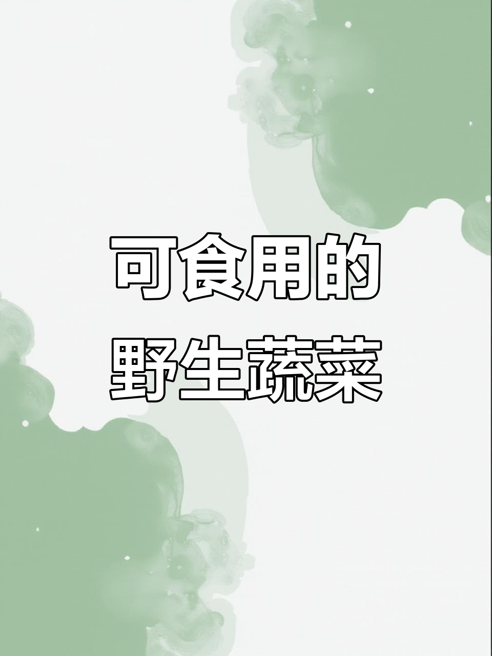 野地菜大揭秘！这些能吃，看看你认识几种