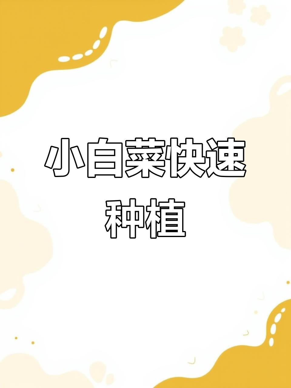 奶油小白菜,口感细腻,生长迅速,一个月即可收获