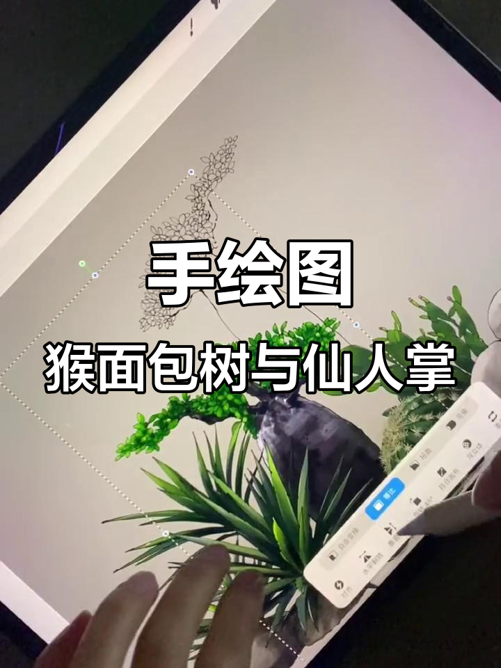 猴面包树与仙人掌绿植手绘,打造独特花园景观