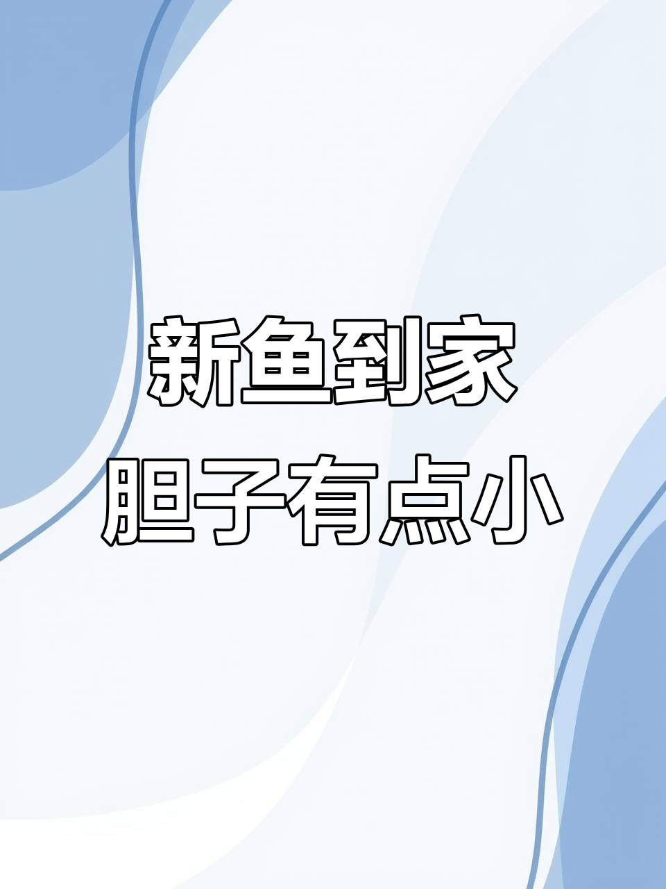 斑鳜新成员加入,小鱼苗能否适应家庭生活?