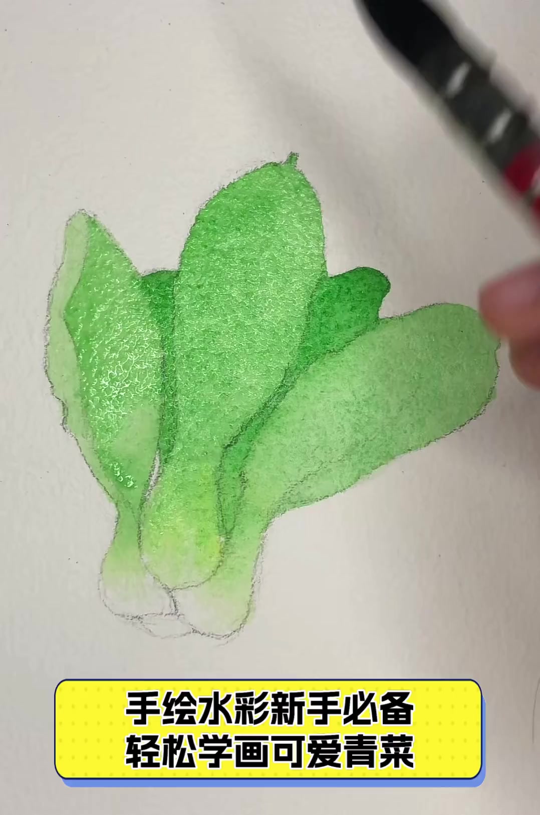 手绘水彩新手必备,轻松学画可爱青菜