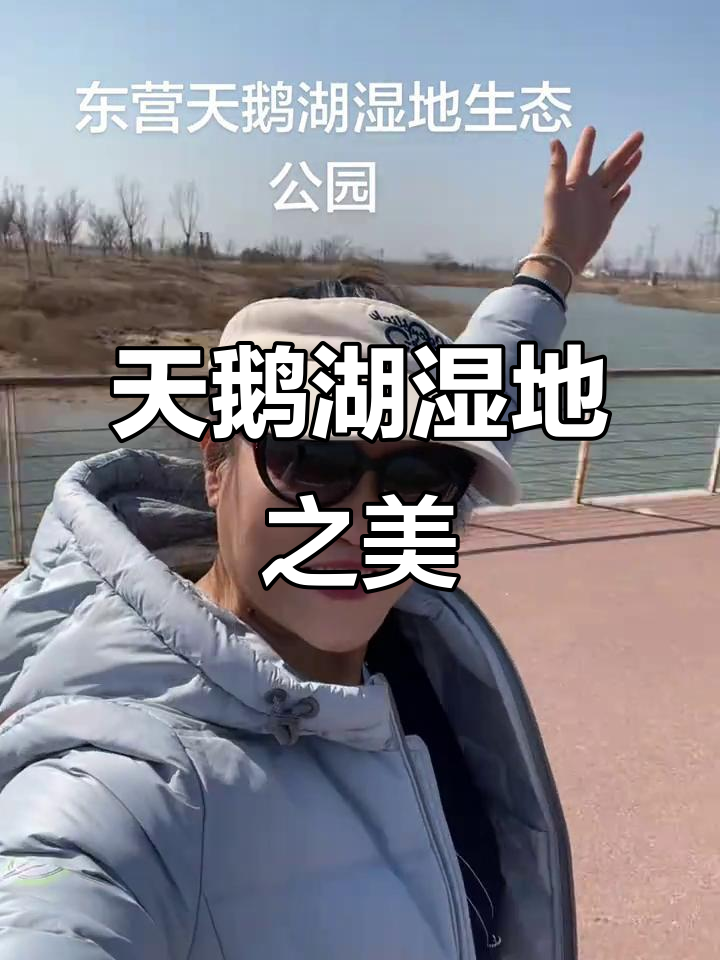 东营天鹅湖湿地公园，美景尽收眼底