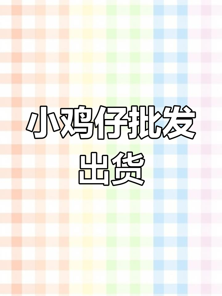 鸭苗嫩口,批发发货准备中