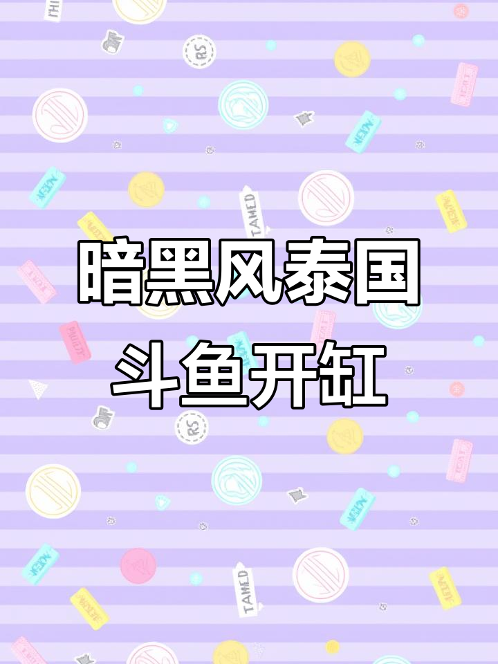 暗黑风格泰国斗鱼缸,神秘氛围全靠这些细节打造