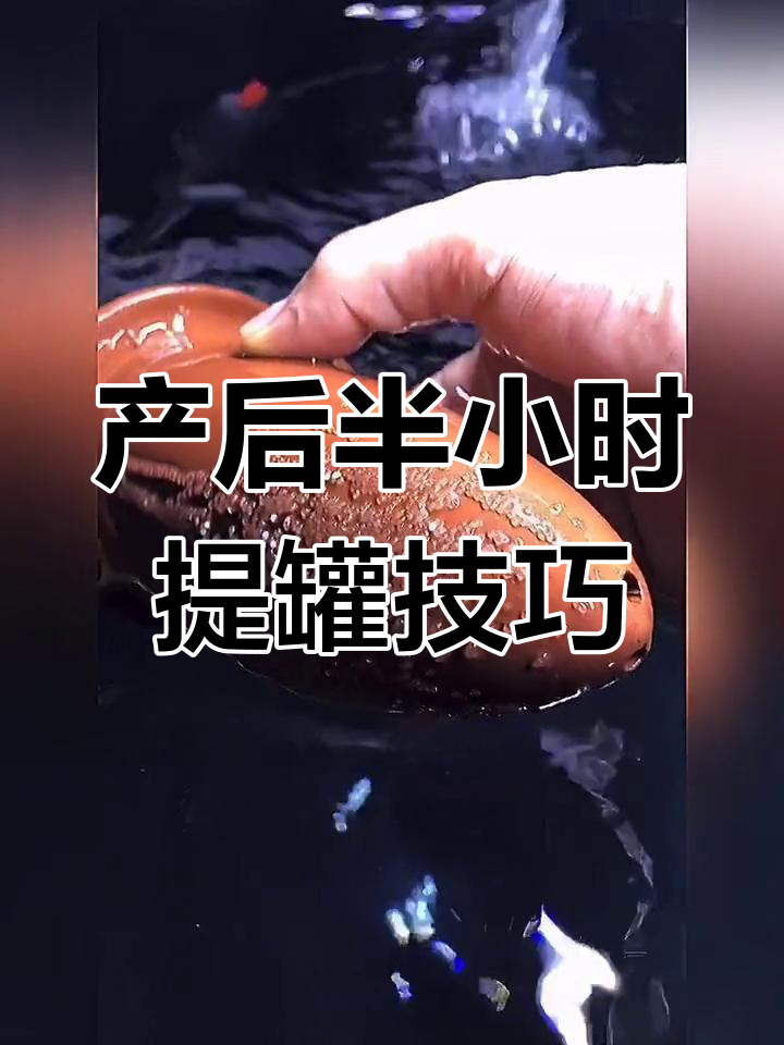 母鱼产卵后多久提罐?孵化期间注意事项全解