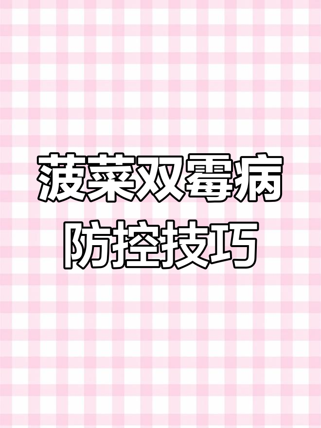菠菜霜霉病防治全攻略,提高产量不再难