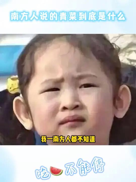 你们南方人说的青菜到底是什么