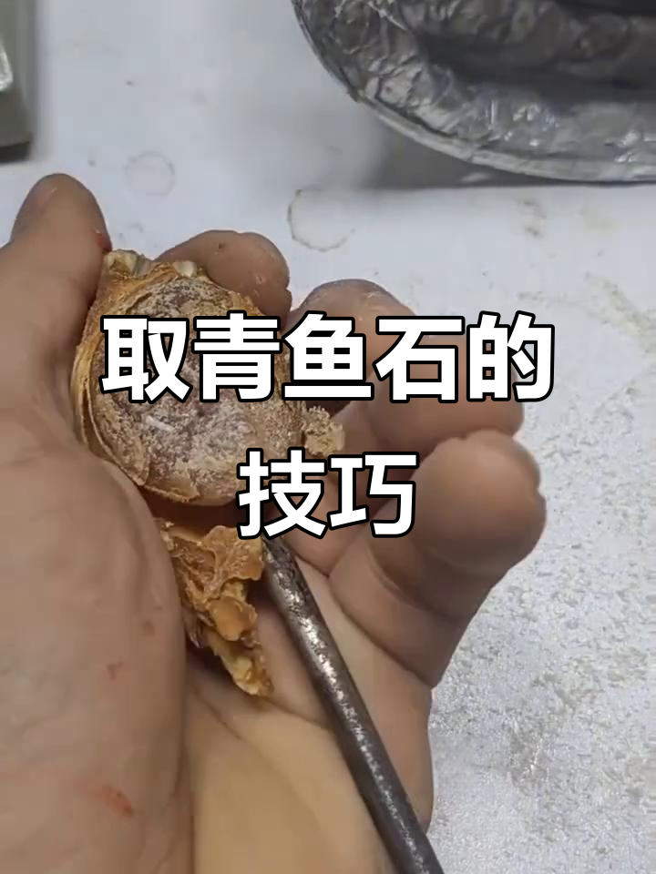 教你轻松取出青鱼石，解决常见疑问！