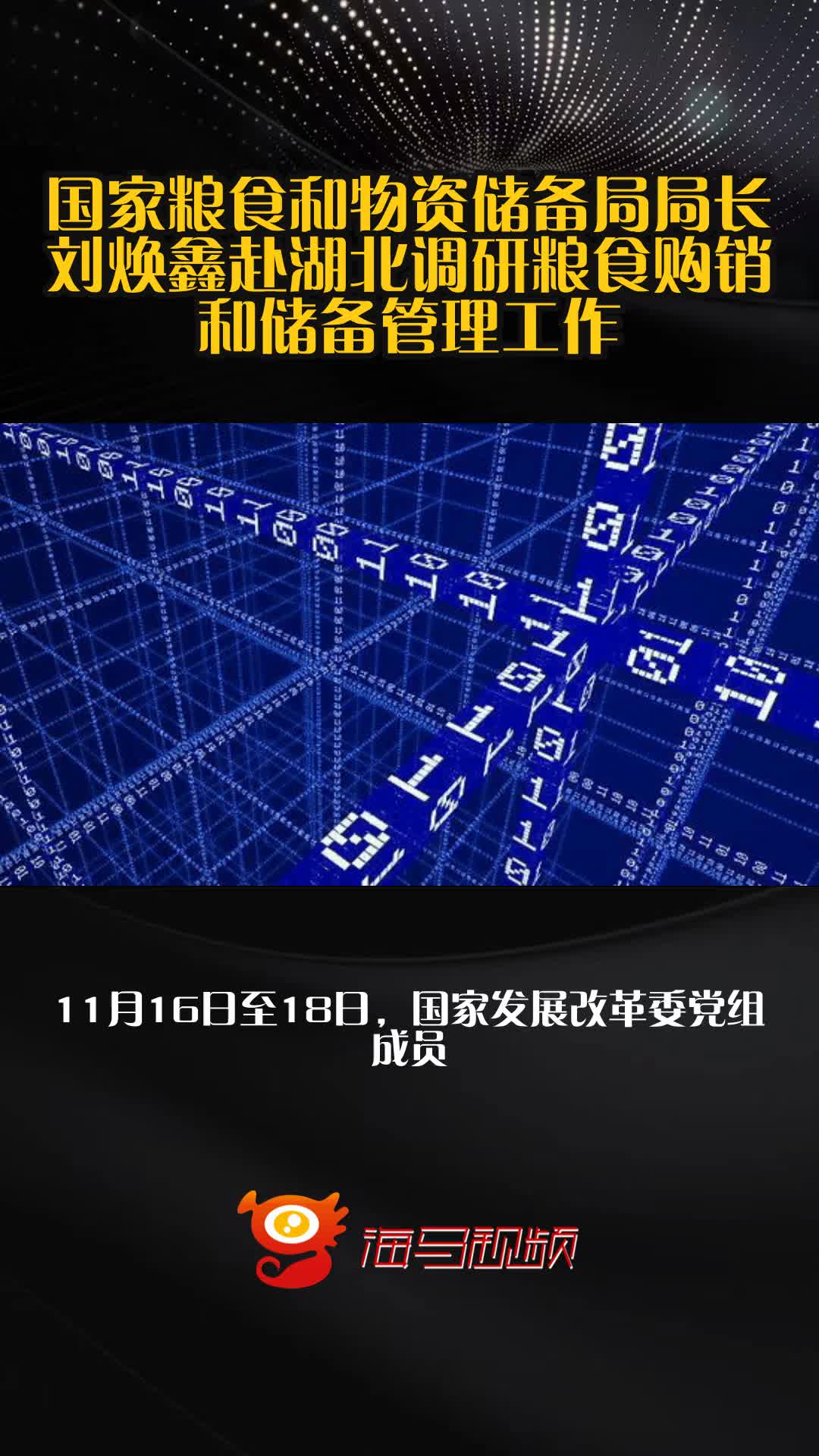 国家粮食和物资储备局局长刘焕鑫赴湖北调研粮食购销和储备管理工作
