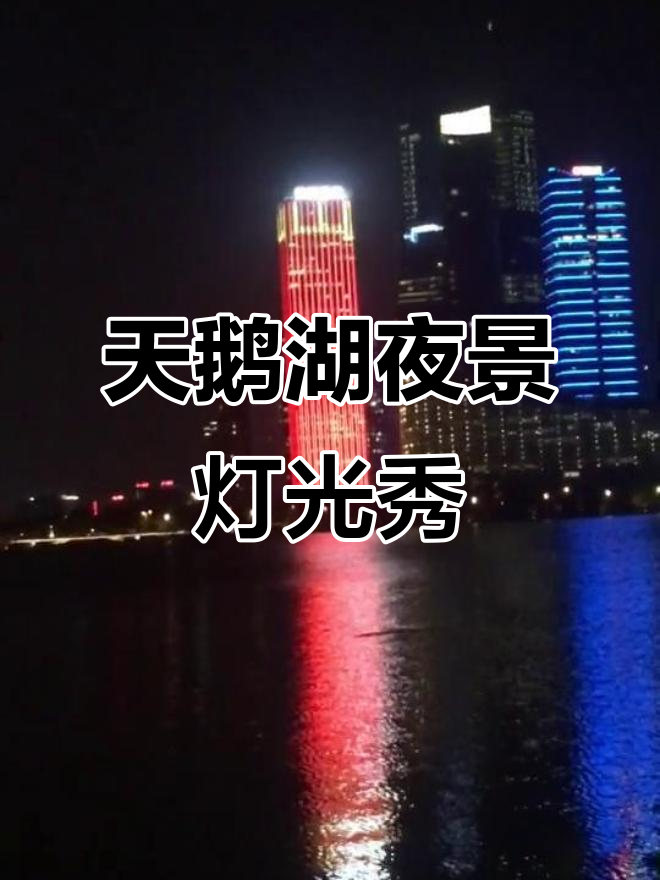 城市夜景与音乐喷泉的完美结合,点亮天鹅湖畔的光辉