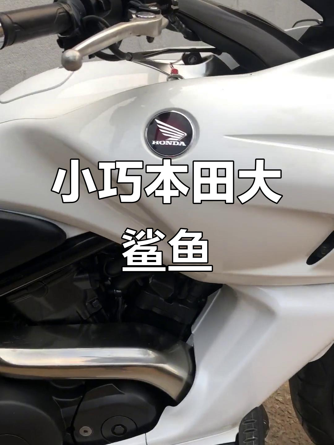 本田大鲨鱼:低排量、双缸水冷,轻松上手