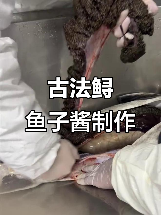 古伊朗传统手法制作鲟鱼子酱,15分钟完成16道工序