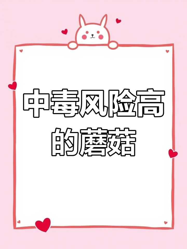 野生菌图鉴:墨汁鬼伞与鸡腿蘑