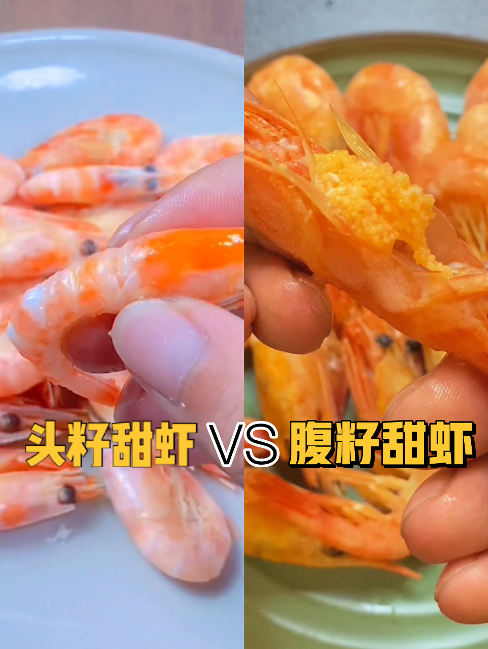 头籽和腹籽到底有什么区别?到底选哪个!