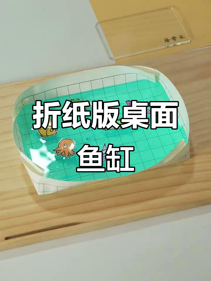 用废纸板做鱼缸,轻松养鲨鱼和河豚