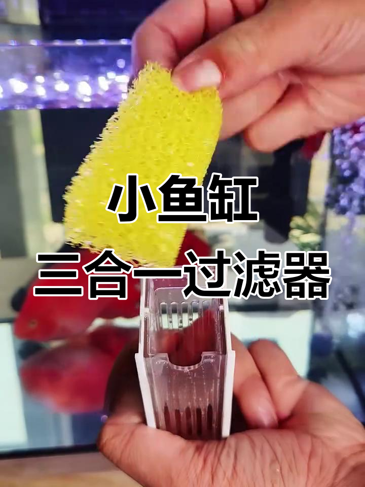 适合小鱼缸的三合一过滤器,吸盘设计轻松安装