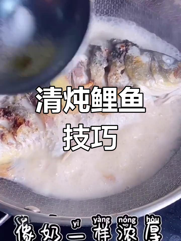 炖鲤鱼汤白如奶,家常做法大揭秘
