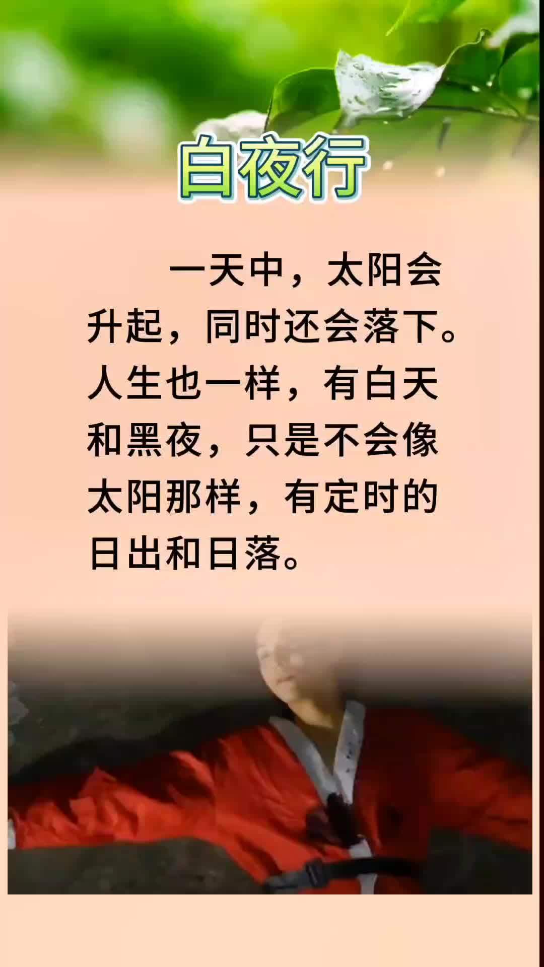 情感书单每日分享 白夜行经典语录