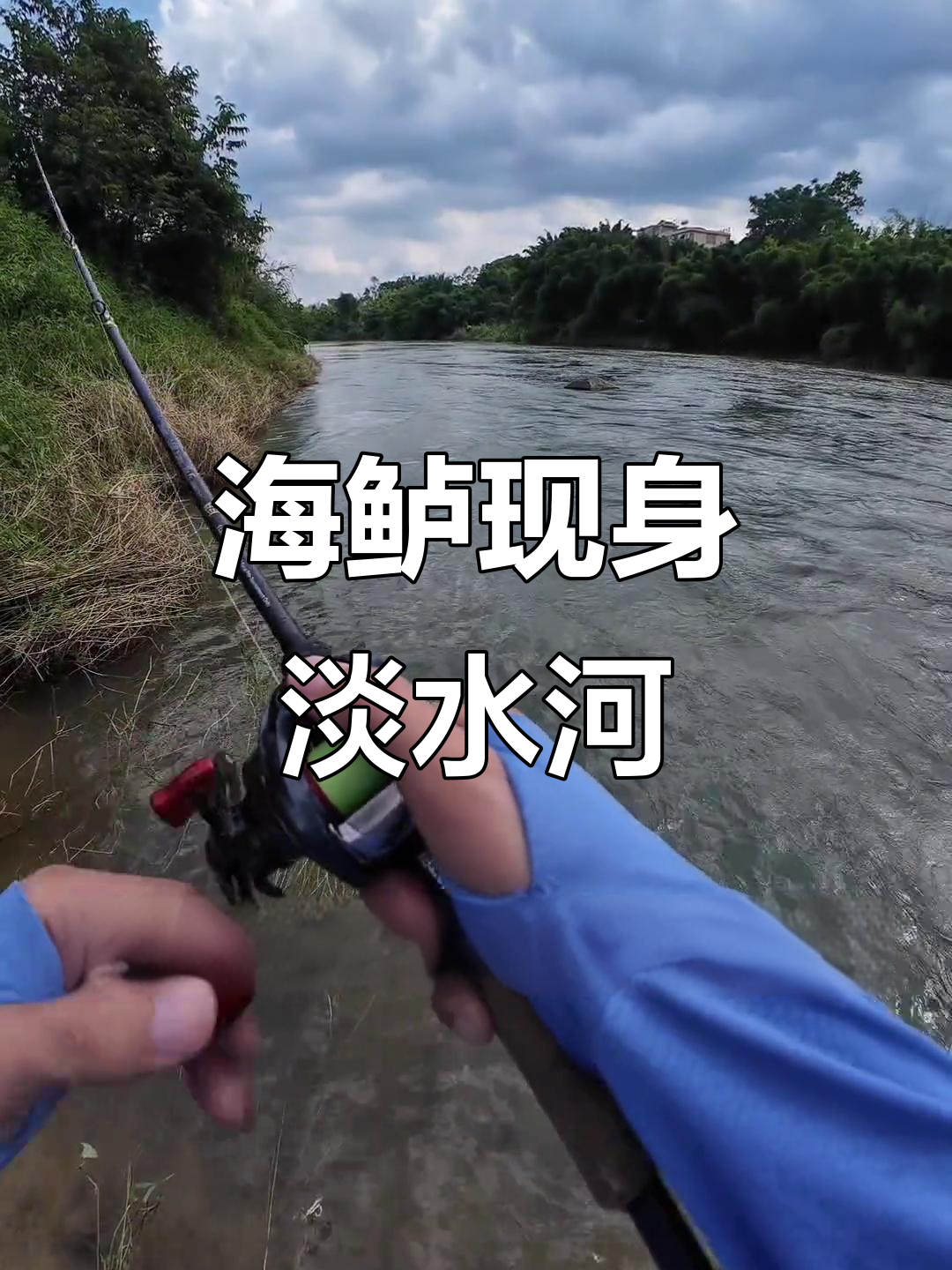 淡水河里竟然有海鲈鱼,路亚钓法大揭秘