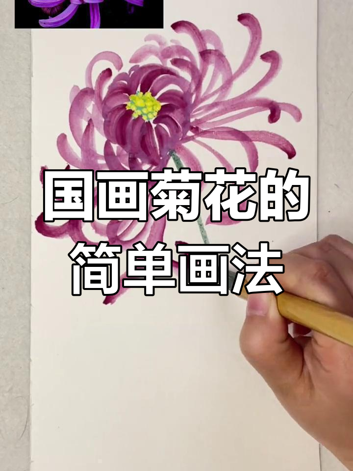 轻松学画国画菊花，步骤详解零基础也能掌握