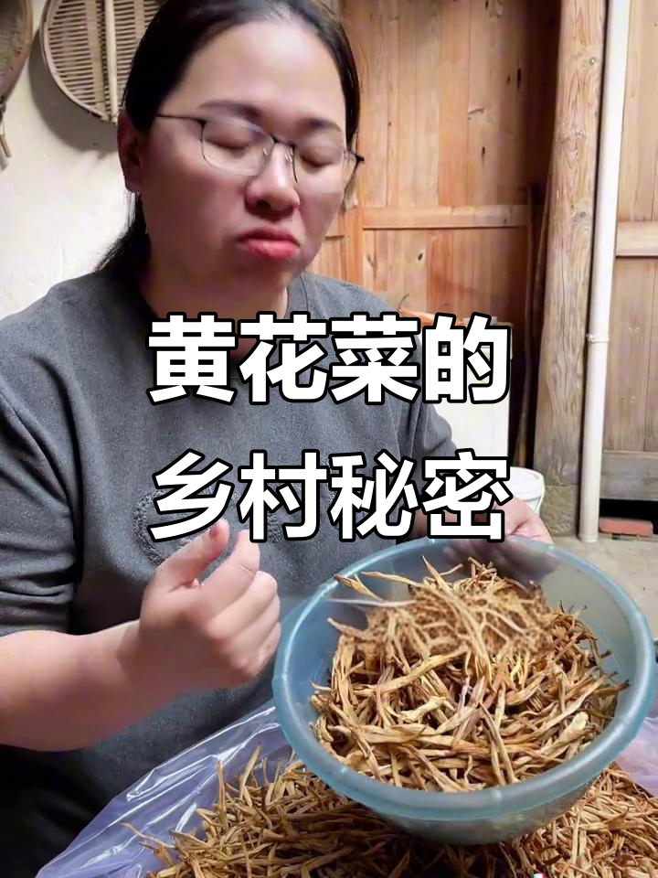 清晨采摘的黄花菜,营养满满,做法多样美味十足