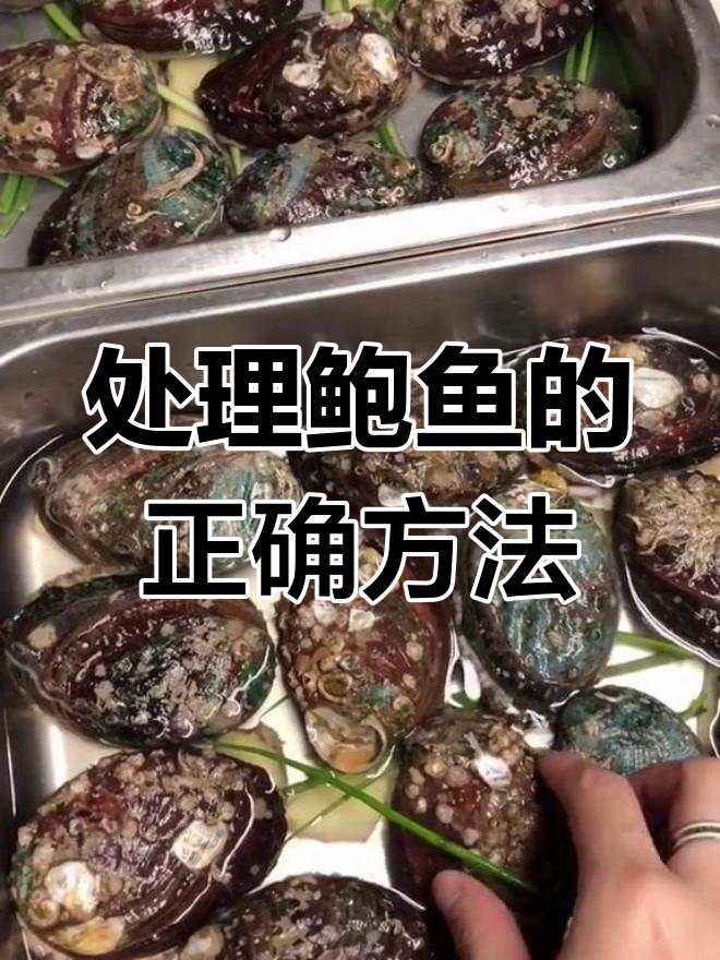 新鲜鲍鱼处理技巧,保持嫩滑不缩水