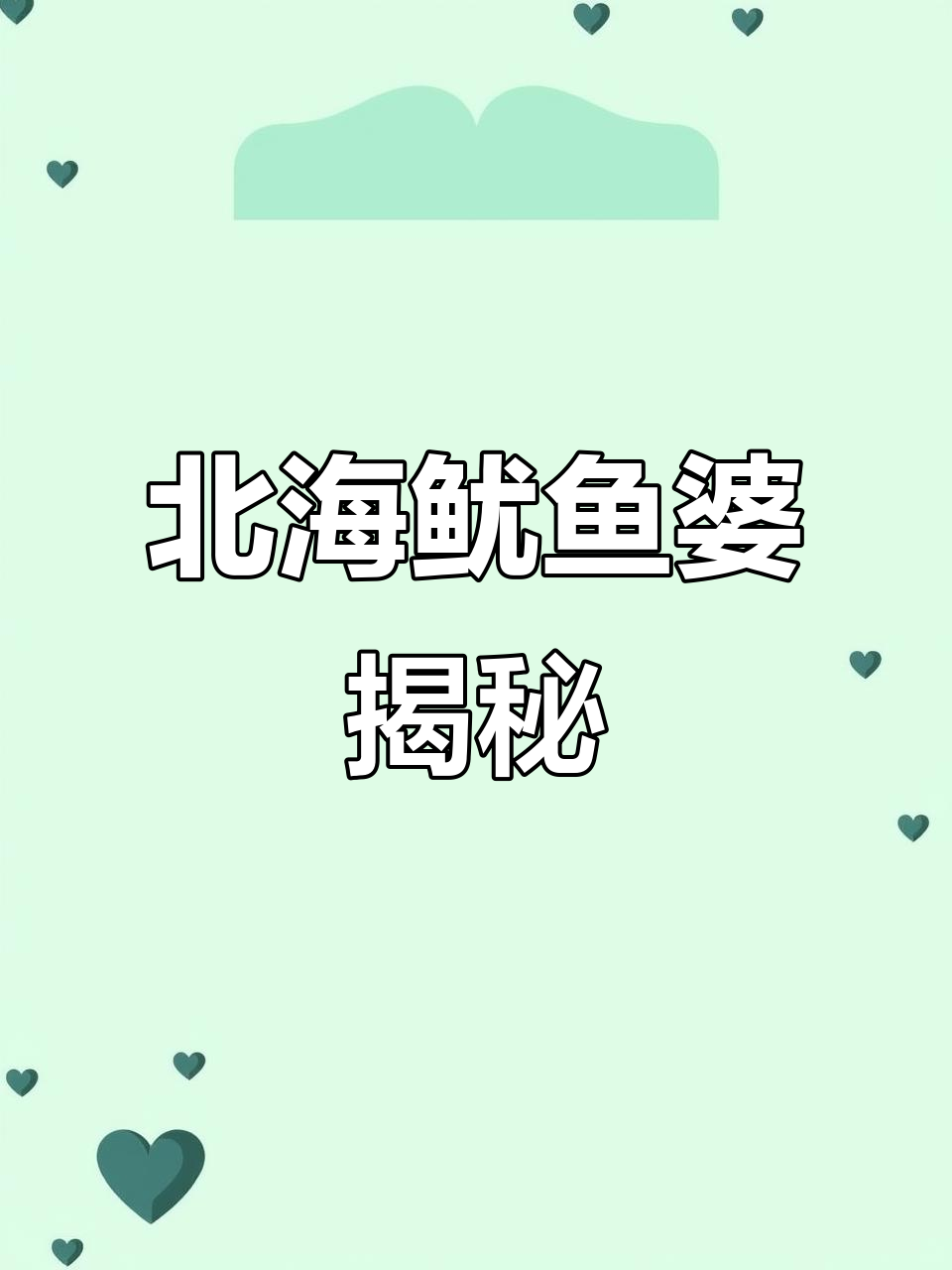 北海鱿鱼婆与墨鱼的差异，鲜活小鱿鱼如何挑选