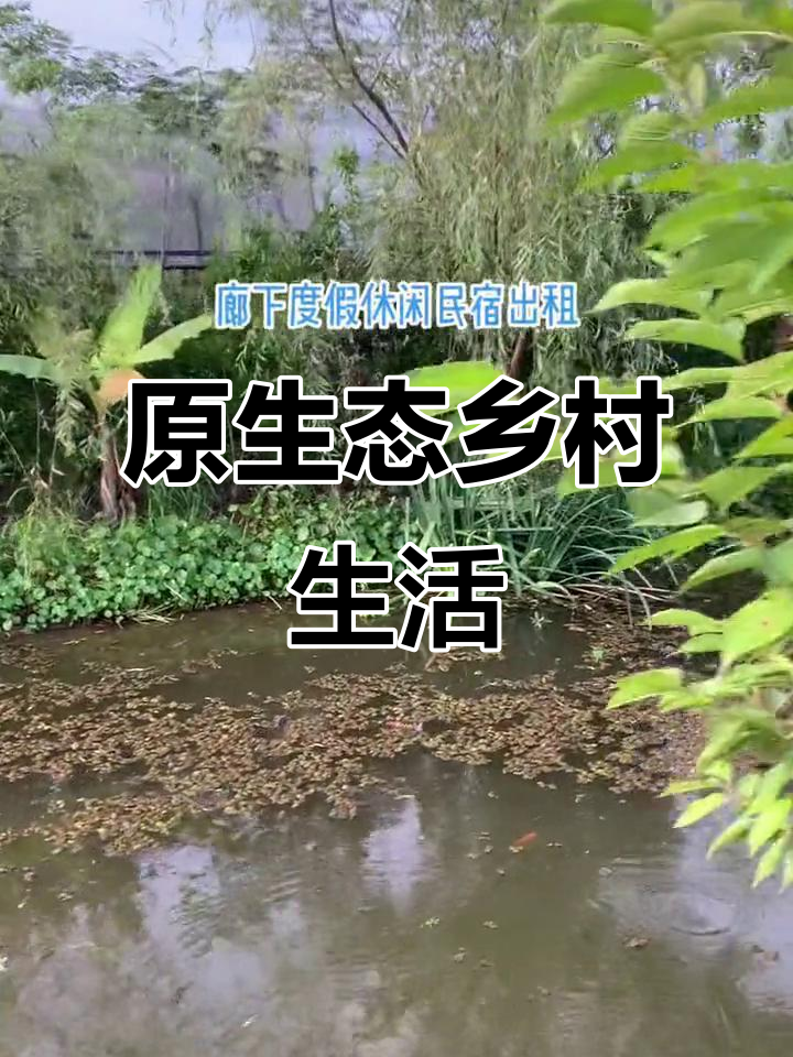 远离城市喧嚣,体验原生态乡村美景与鱼塘桃园