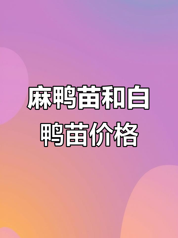 麻鸭苗与白鸭苗价格大比拼,生活不易但梦想依旧