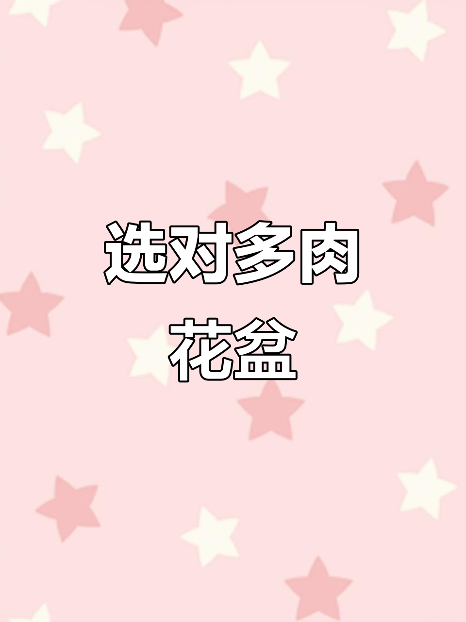 多肉植物选盆技巧,造型更美!