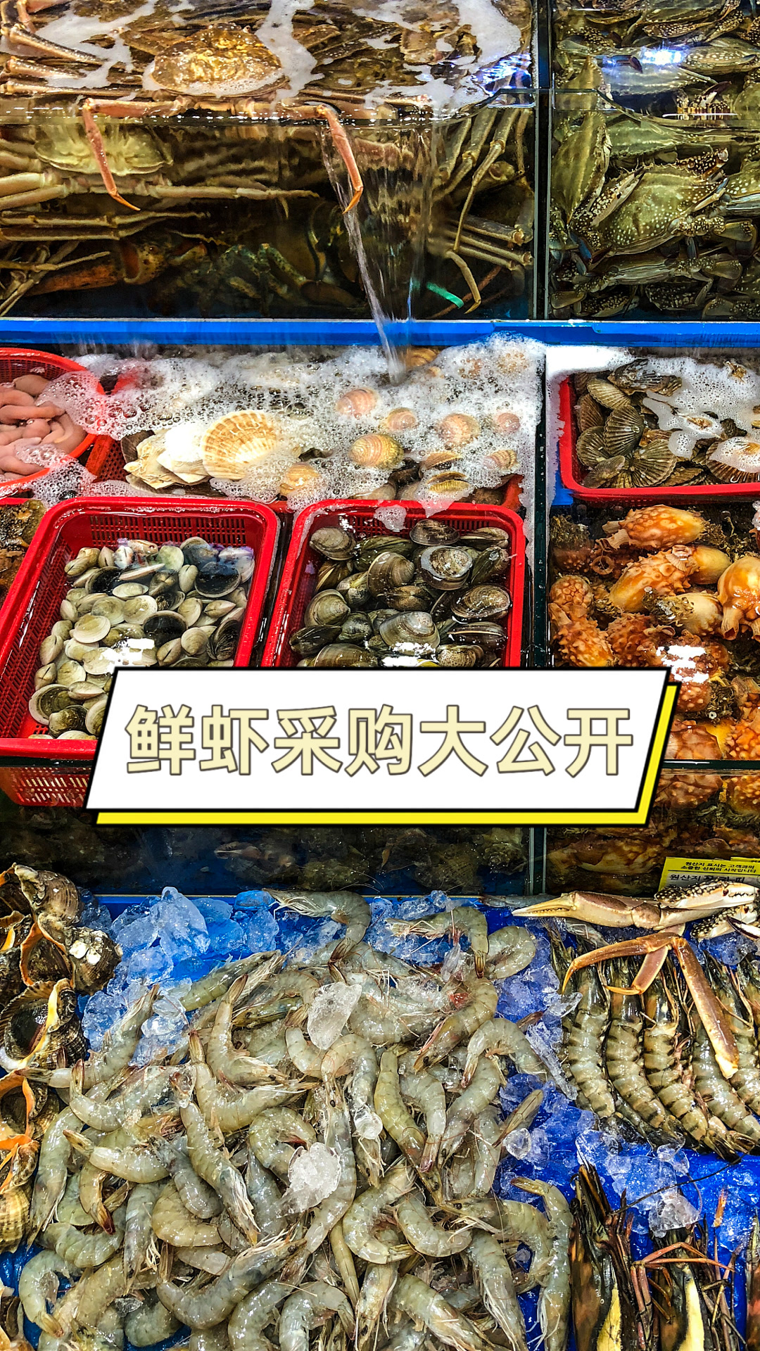 鲜虾采购大公开