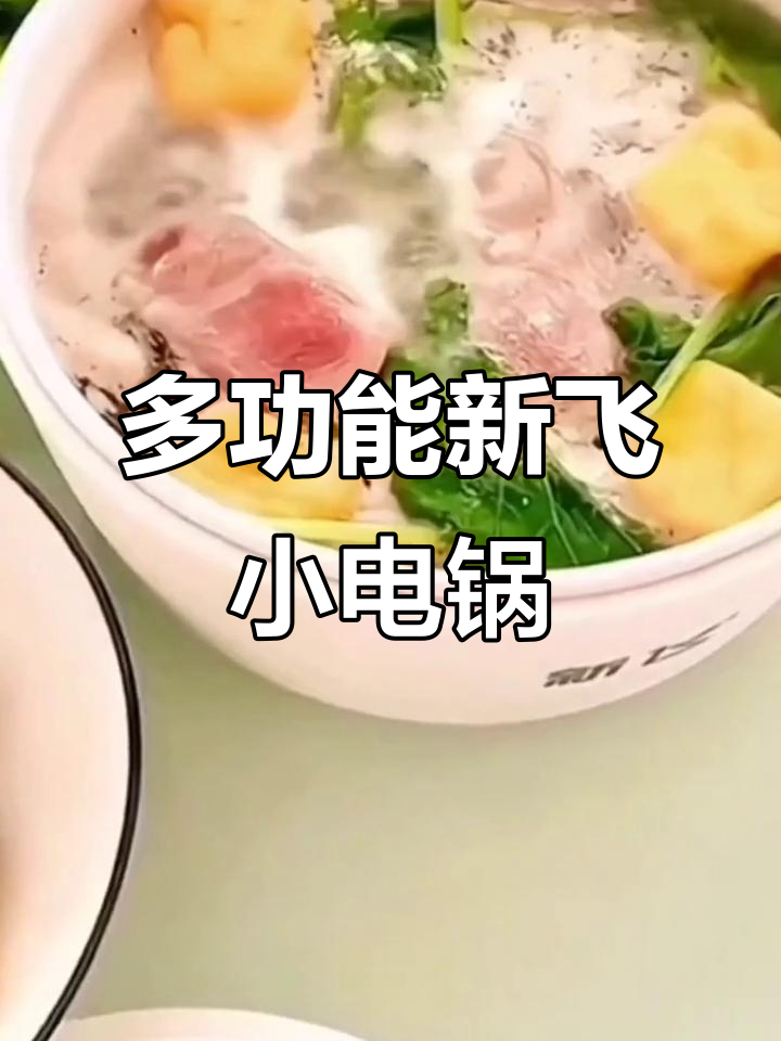 新飞多功能小电锅,煎炒炖煮蒸样样行