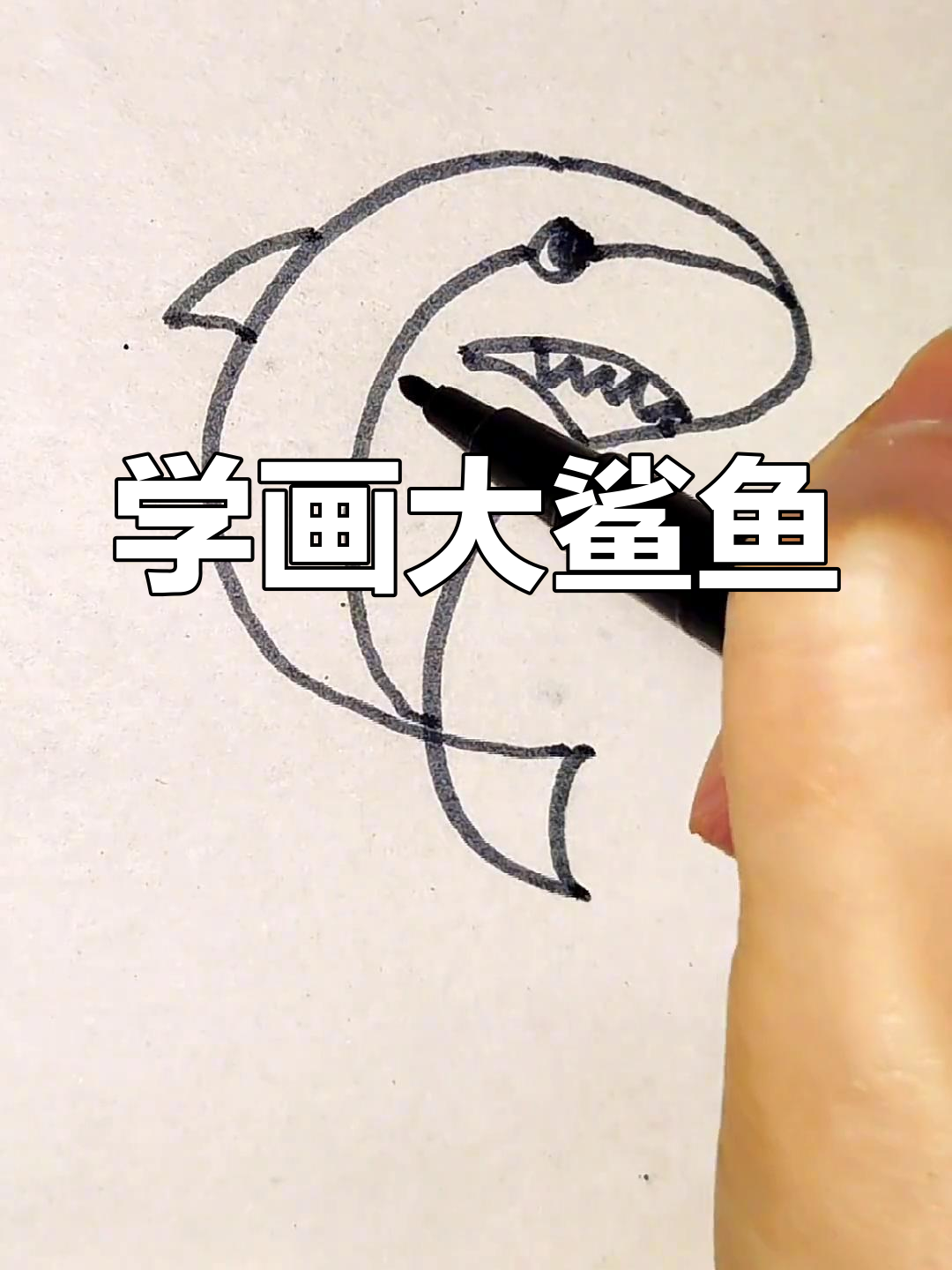 零基础学画大鲨鱼简笔画