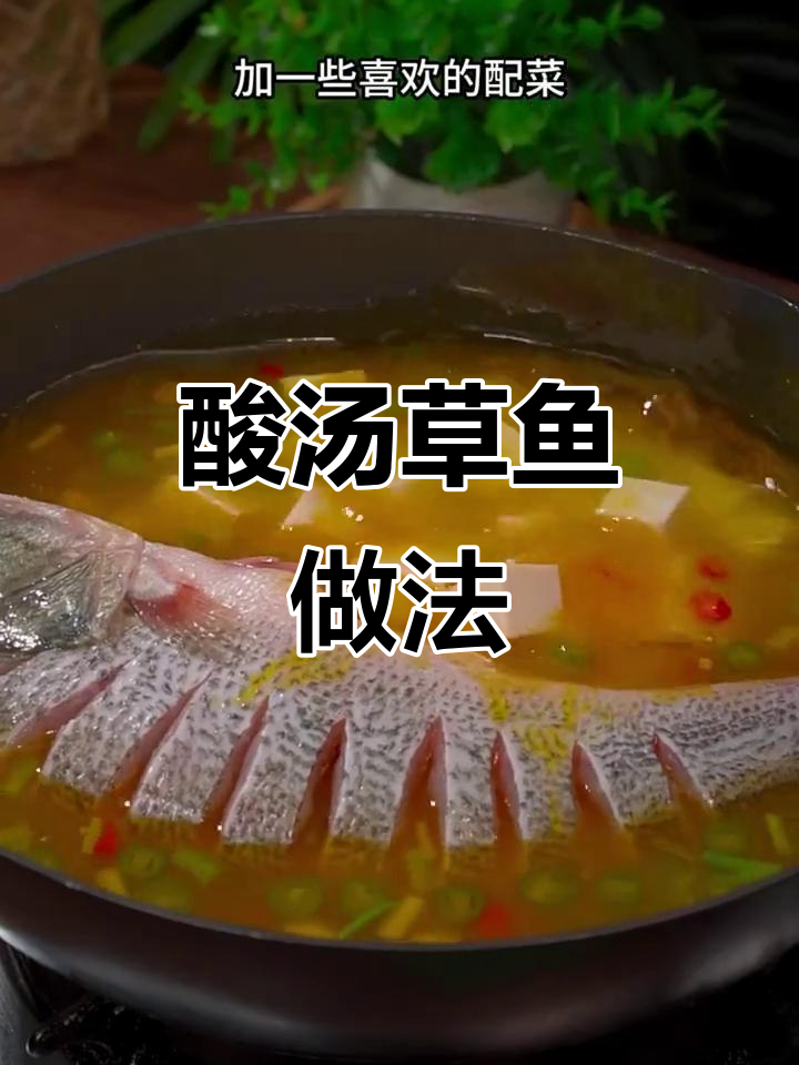 酸汤草鱼，简单又开胃！教你做正宗酸辣口感