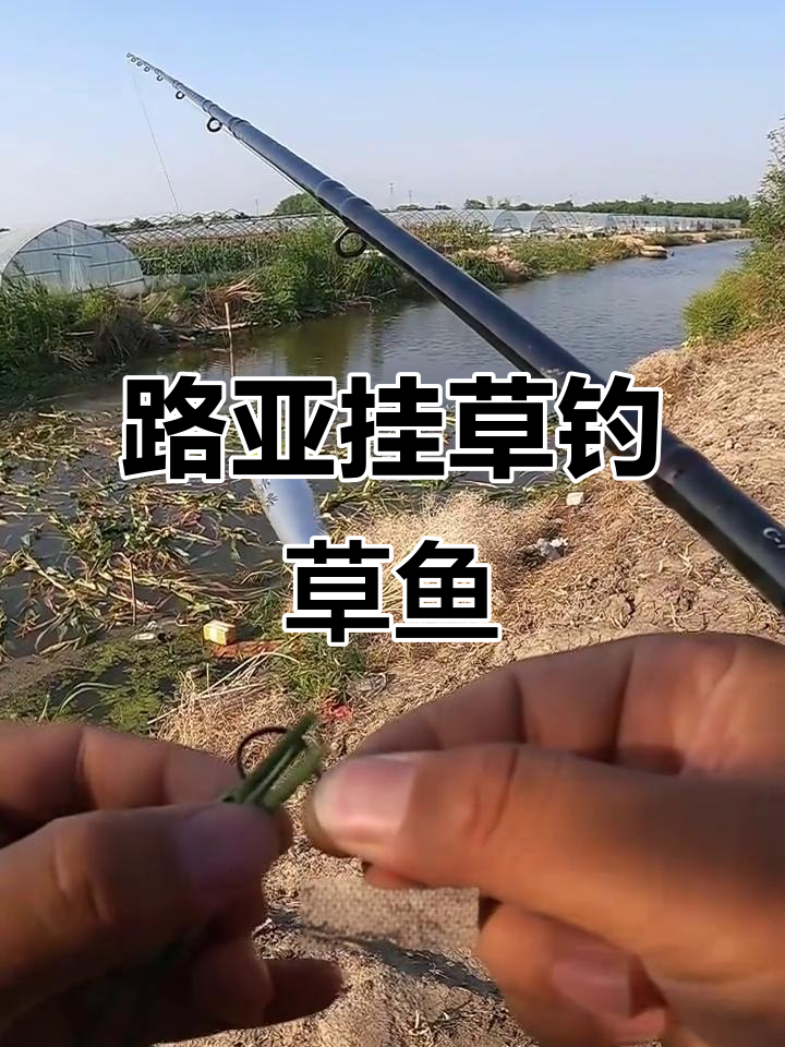 浮钓草鱼大挑战,路亚挂草技巧揭秘