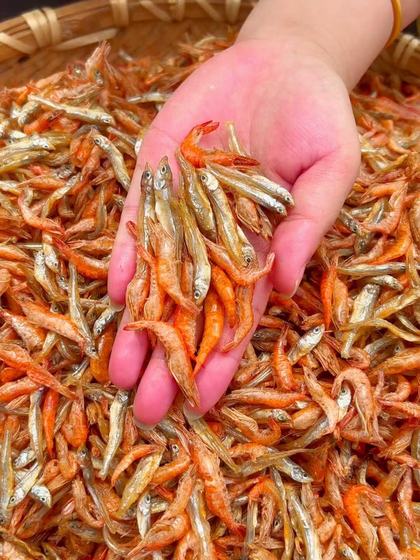 湖南淡水小河鱼小河虾