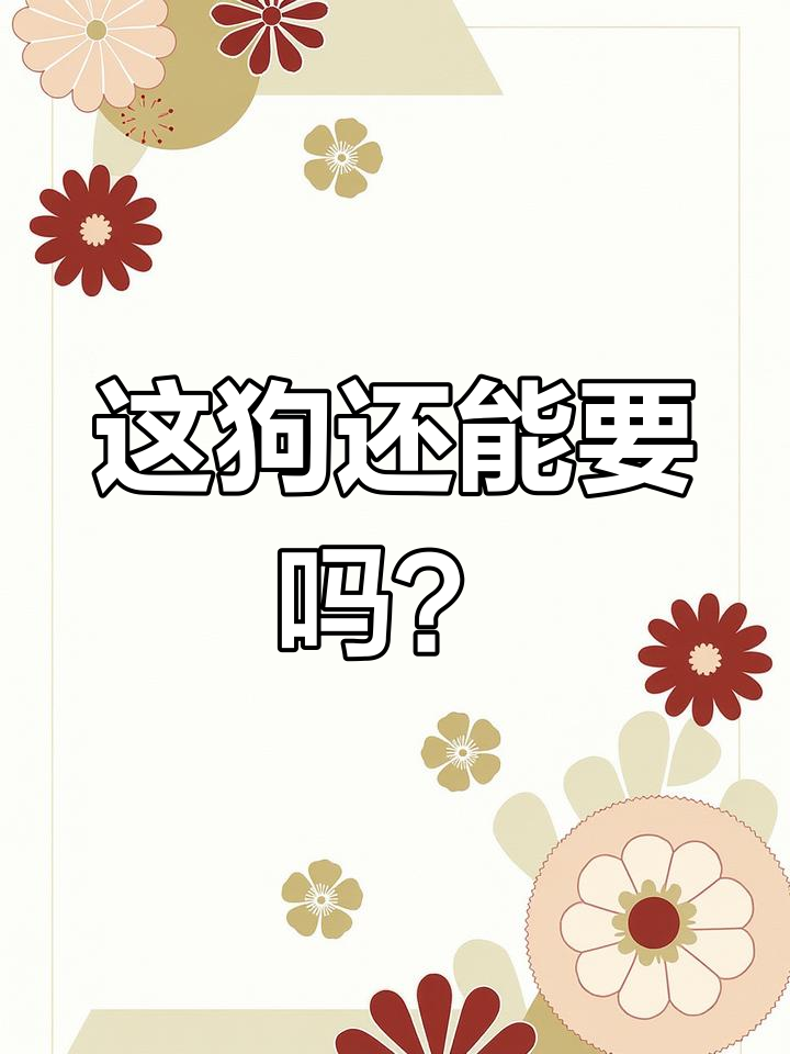 狗狗背带刚套上,就闹腾不停!妈妈快崩溃了