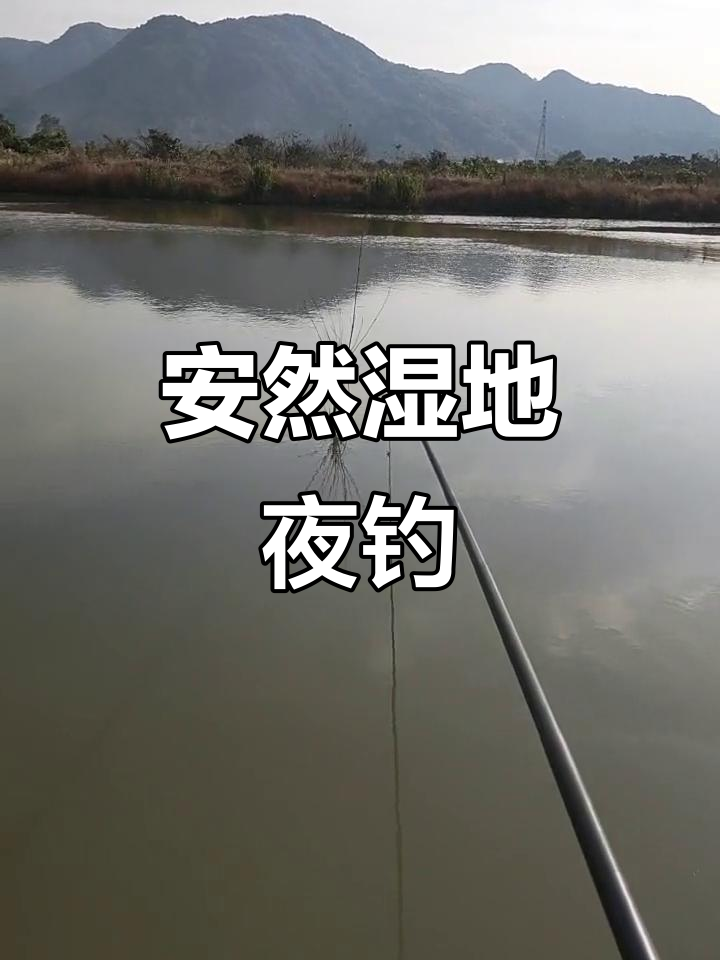 钓鱼人疯狂一夜,安然湿地公园的休闲时光