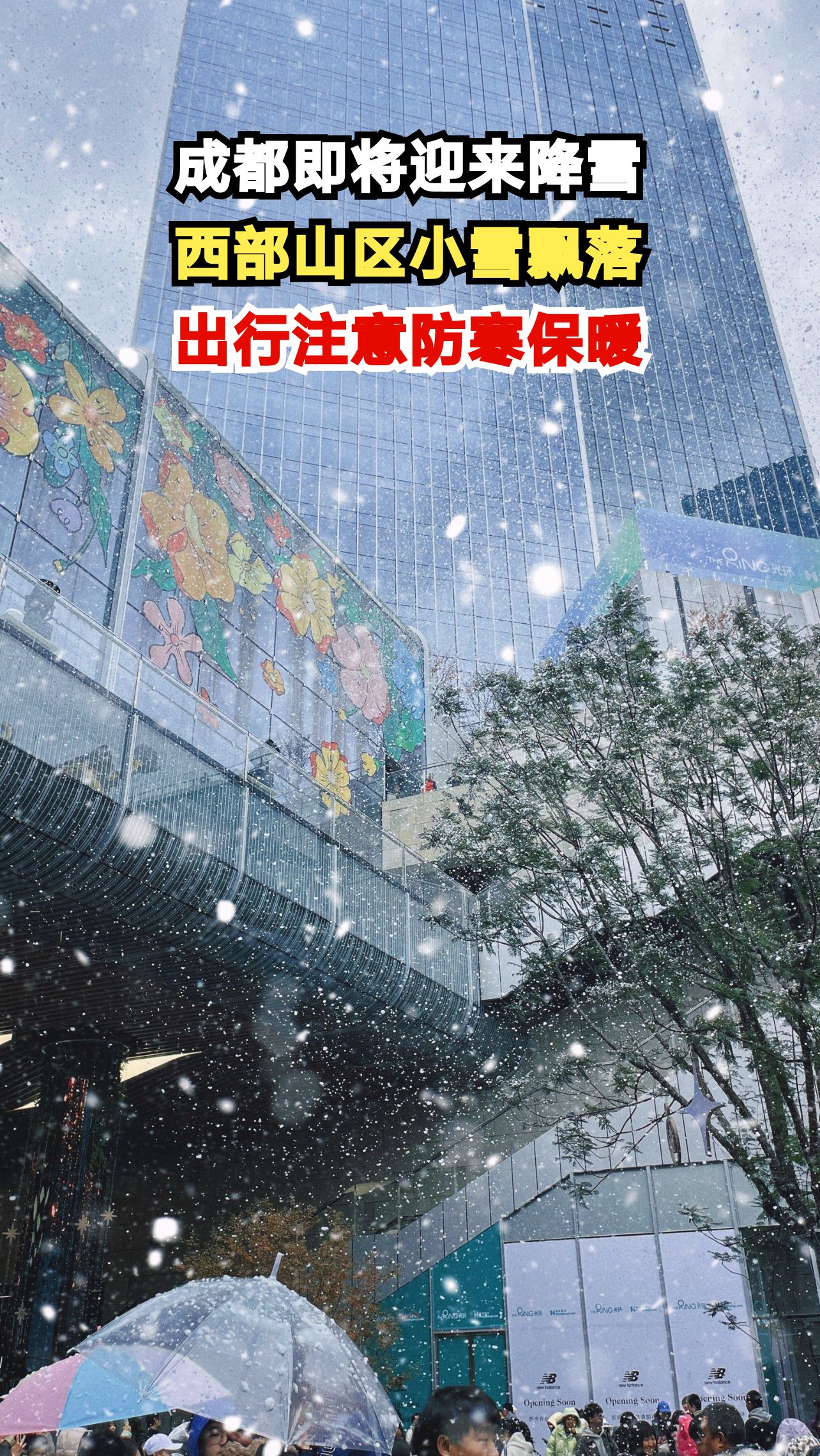 成都人期待已久的雪终于要来了!山区小雪飘落,你准备好了吗?