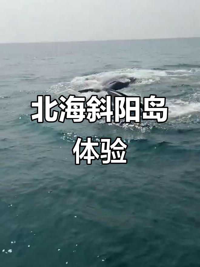 北海斜阳岛酒吧探秘,小鱼游动超有趣