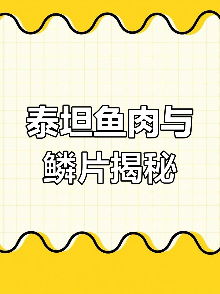 泰坦鱼刺身:潜水员最怕的攻击性鱼类,肉质却像鸡胸脯