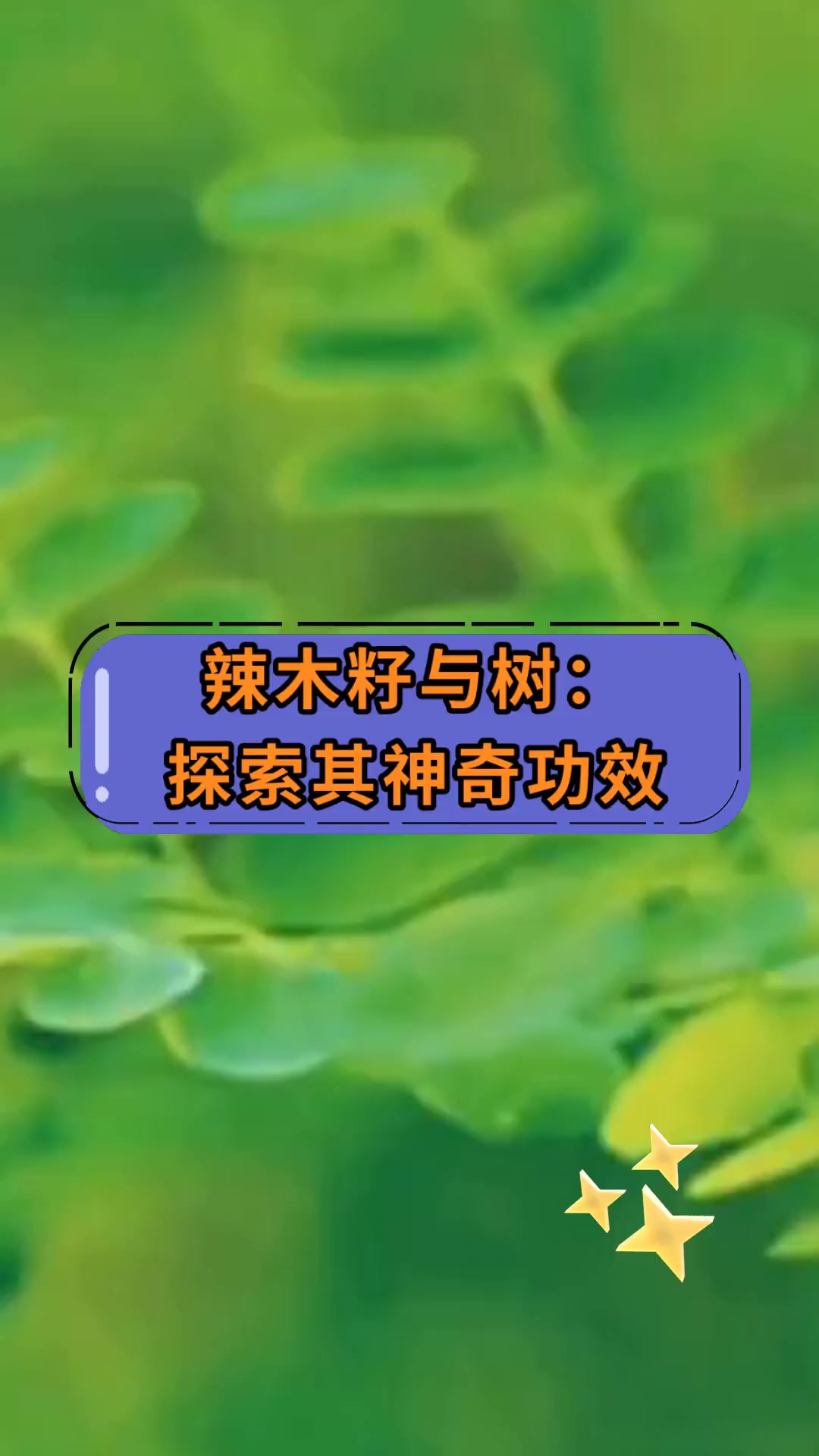 辣木籽与树:探索其神奇功效