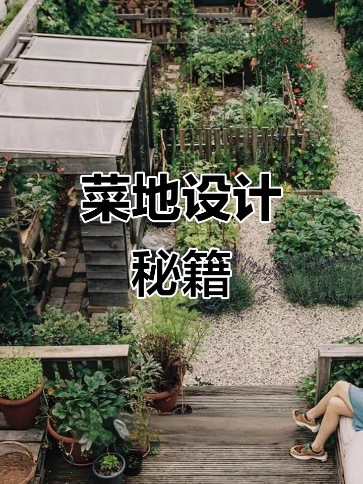 想要菜地丰收?掌握这些设计技巧,轻松种植!