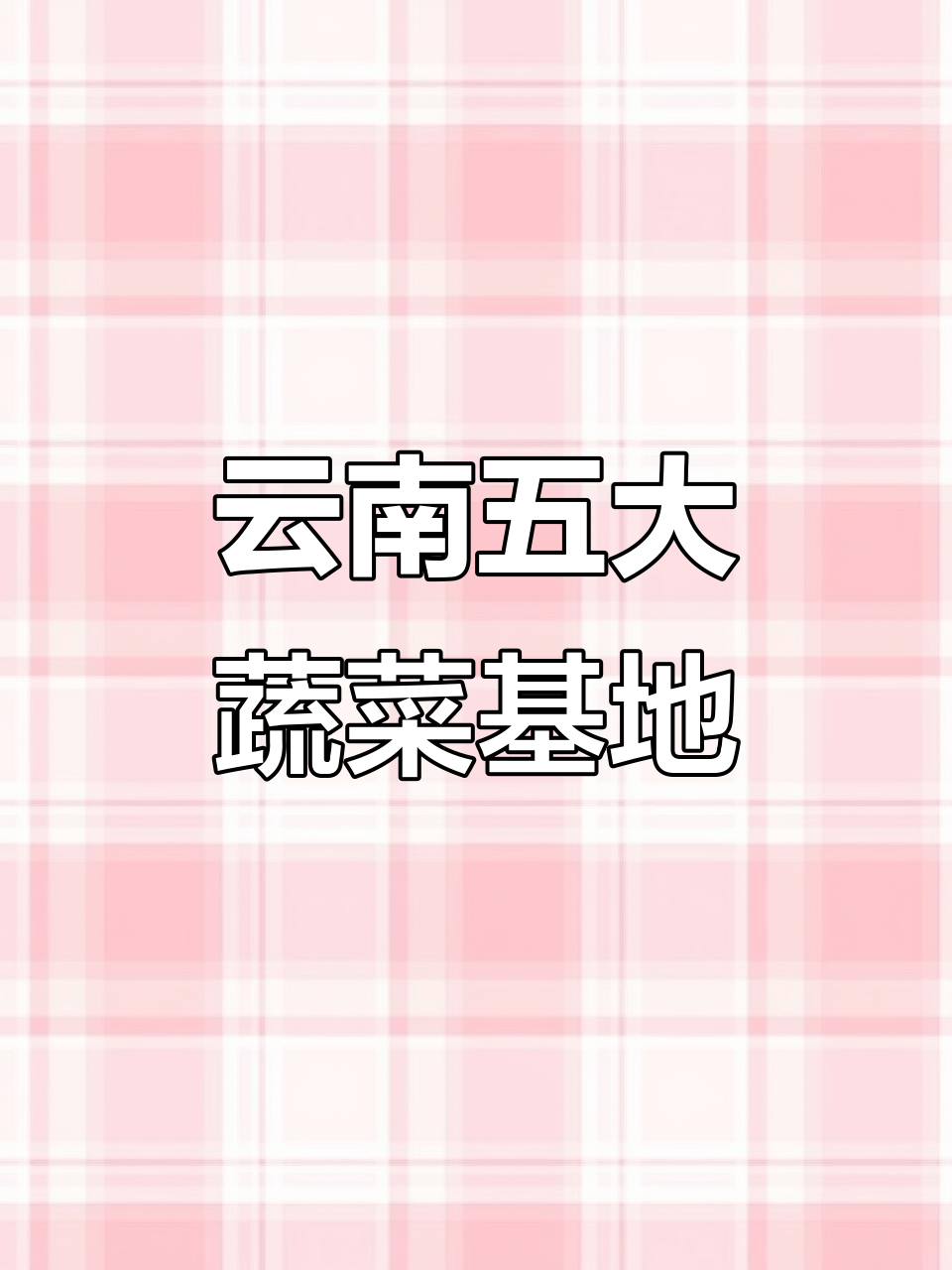 云南五大蔬菜基地大揭秘,绿色鲜蔬直供全攻略