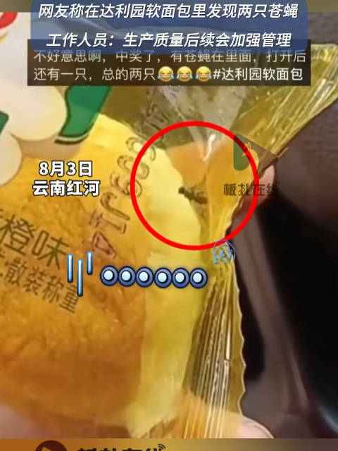8月3日,云南红河。网友称,在达利园软面包密封包装袋里发现两只苍蝇。对此,工作人员回应:生