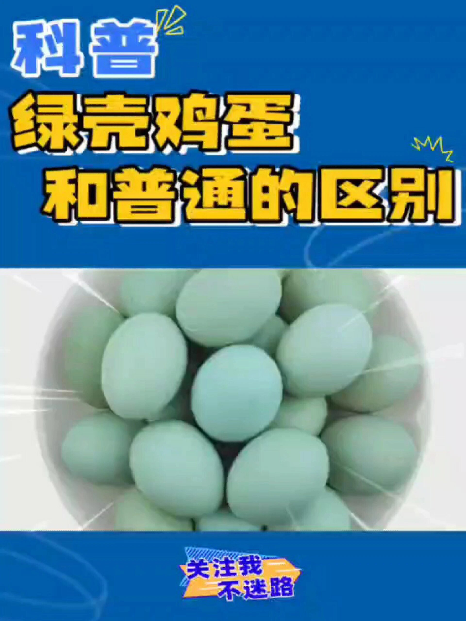 绿壳鸡蛋和普通鸡蛋有什么不同?
