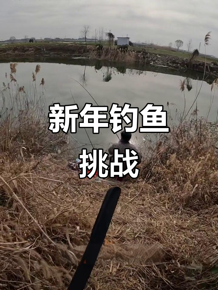 新年第一钓,挑战性十足!大爷两小时钓两条鱼