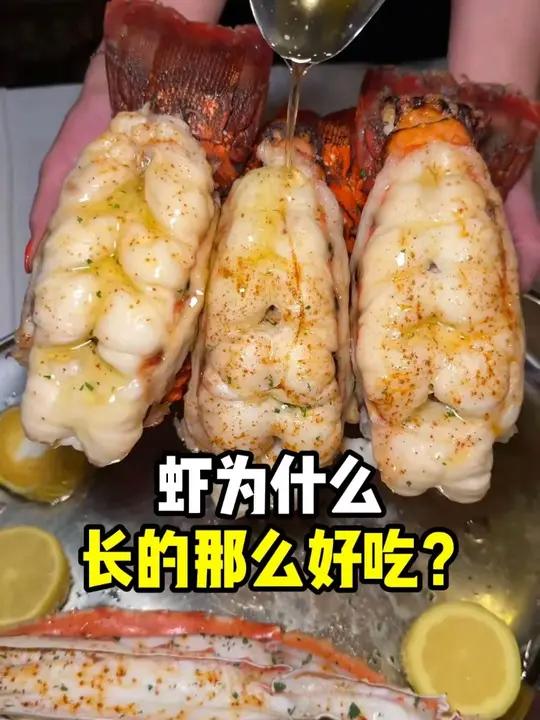 虾为什么长的那么方便人类吃？